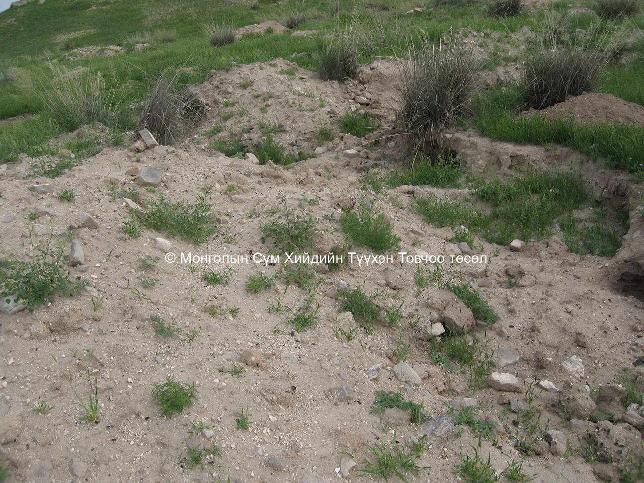 Баруун талаас авсан/Утай уулын хийдийн цогчин дуга